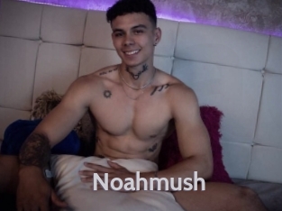 Noahmush