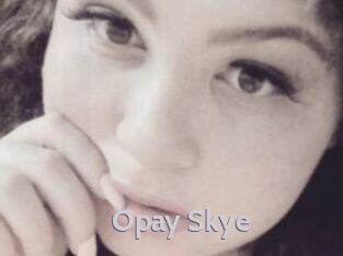 Opay_Skye