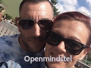 Openmindstel