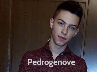 Pedrogenove