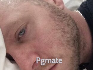 Pgmate