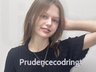 Prudencecodringt