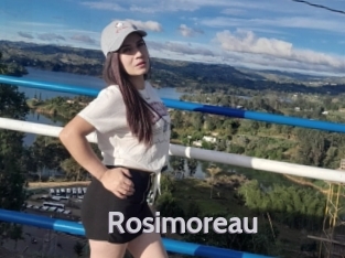 Rosimoreau