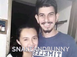 SNAKEANDBUNNY