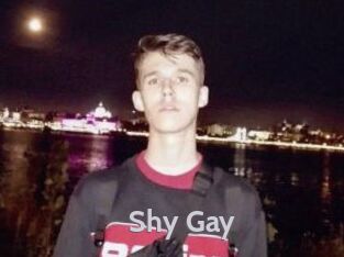 Shy_Gay