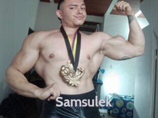 Samsulek