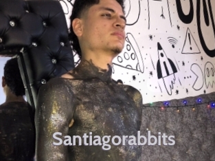 Santiagorabbits