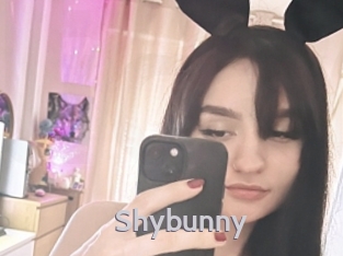 Shybunny