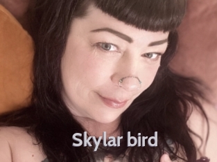 Skylar_bird