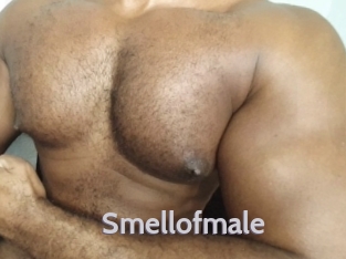 Smellofmale