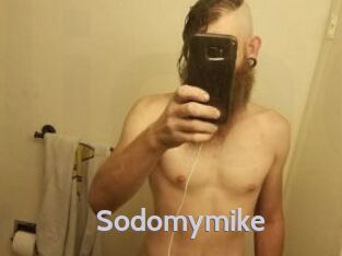 Sodomymike