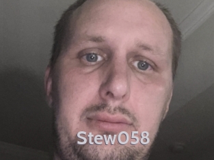 Stew058