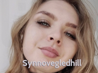 Synnovegledhill