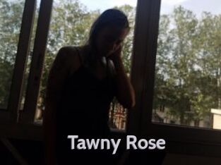 Tawny_Rose