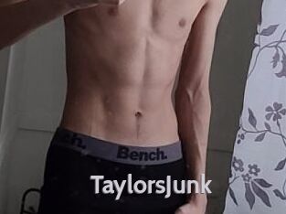 TaylorsJunk