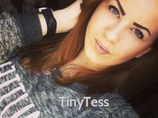 TinyTess