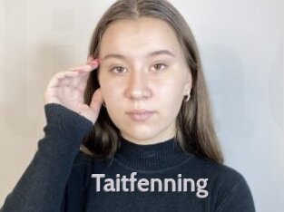 Taitfenning