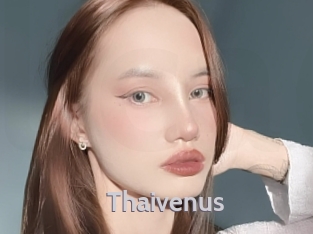 Thaivenus