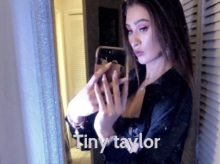 Tiny_taylor