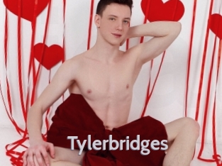 Tylerbridges