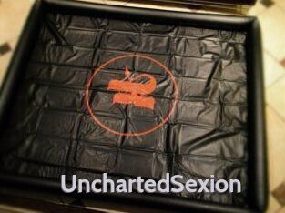 UnchartedSexion