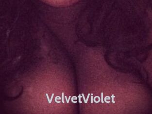 VelvetViolet