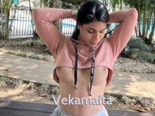 Vekamaita