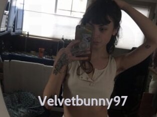 Velvetbunny97