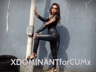 XDOMINANTforCUMx